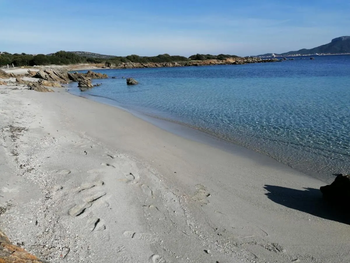 Apartment With Private Heated Pool - Domus Enzo Golfo Aranci